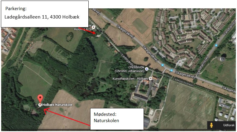Naturskolen