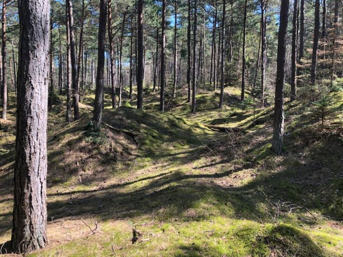 Holbæk OK