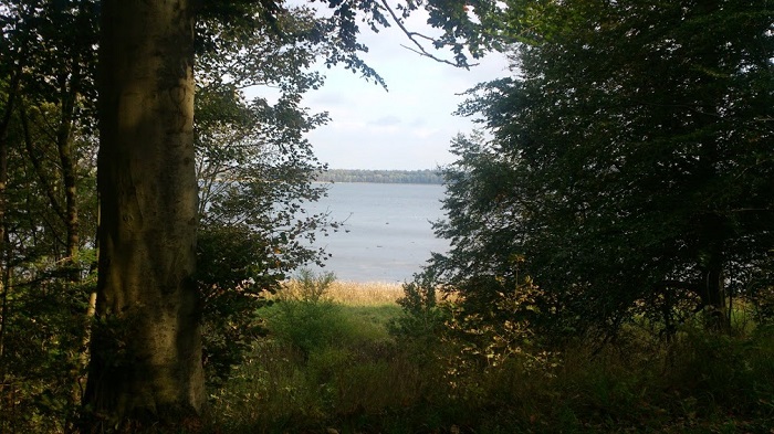 Eriksholm